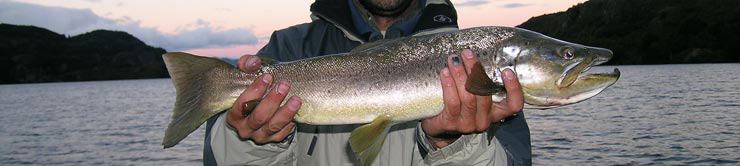 Fly Fishing in beautiful Argentina