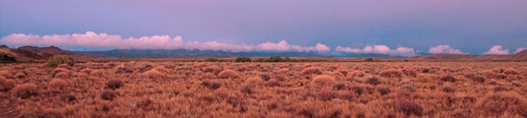 Fly Fishing in Argentina